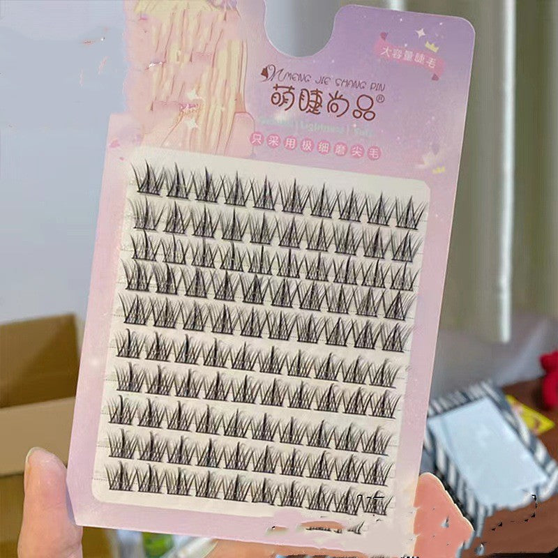 10 Rows Of Large Capacity Spire False Eyelashes