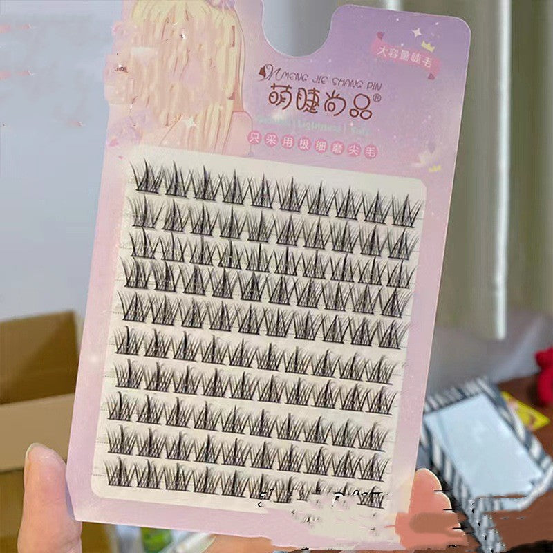 10 Rows Of Large Capacity Spire False Eyelashes