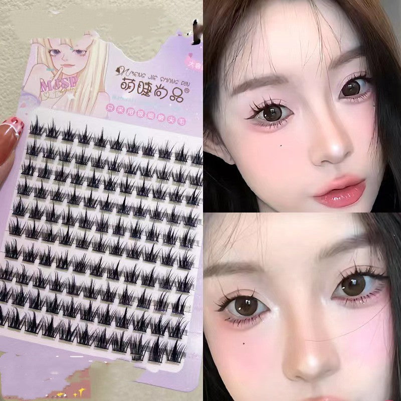 10 Rows Of Large Capacity Spire False Eyelashes